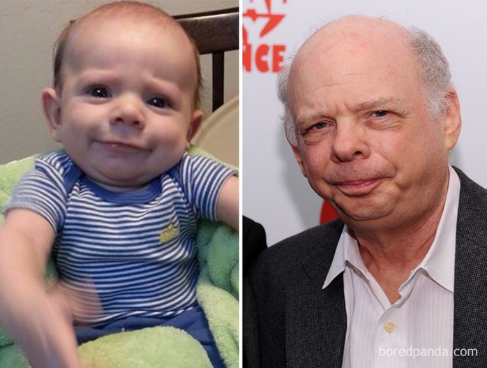 
Cậu bé có biểu cảm thật đáng yêu giống như đúc diễn viên gạo cội Wallace Shawn
