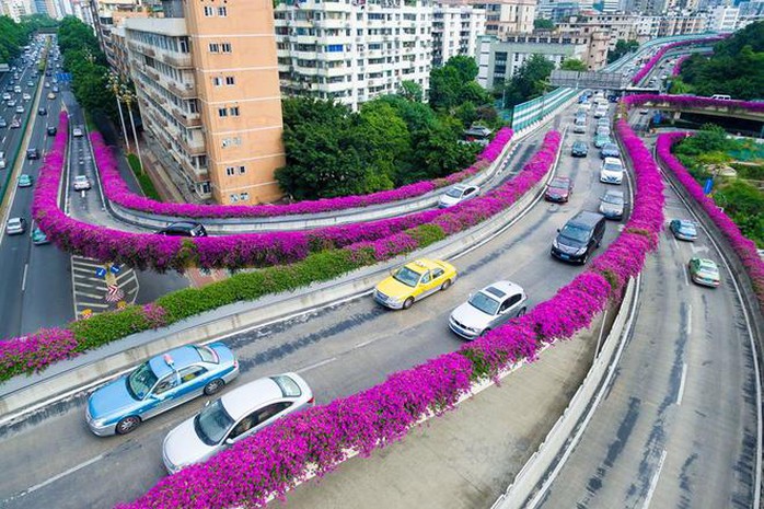 
 

Từ Việt Nam, bạn có thể đi ôtô sang Nam Ninh hoặc đi tàu liên vận từ ga Gia Lâm; sau đó bắt tàu cao tốc từ Nam Ninh tới Quảng Châu chỉ sau 4 giờ.

 


 

Tàu cao tốc có thiết kế hiện đại, nhiều sự lựa chọn cho du khách như khoang thương gia, khoang hạng 1 và hạng 2, với giá từ 170 tệ (khoảng 560.000 đồng một chiều).

 

 

 

