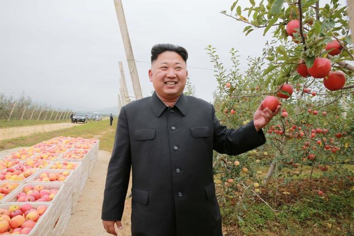 Ông Kim Jong-un tại một nông trường trái cây. Ảnh: REUTERS