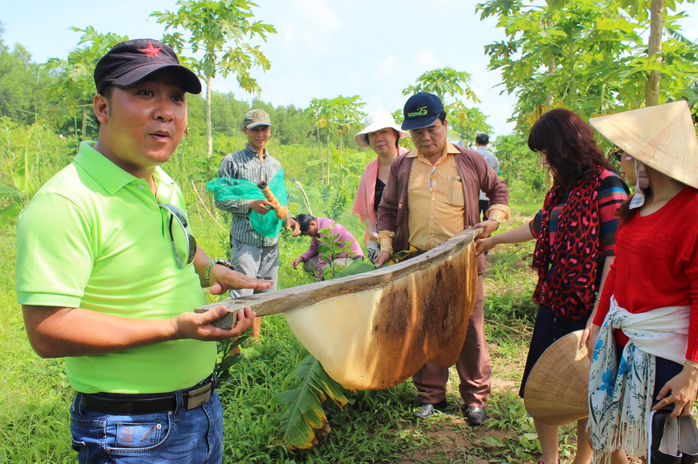 
Du khách trải nghiệm nghề gác kèo ong tại điểm du lịch sinh thái dựa vào cộng đồng nơi rừng U Minh Hạ (Cà Mau)

