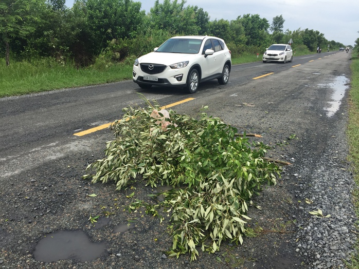 
Tại ổ voi này đã xảy ra nhiều vụ tai nạn, người dân phải lấy nhánh cây để cảnh báo các phương tiện qua lại
