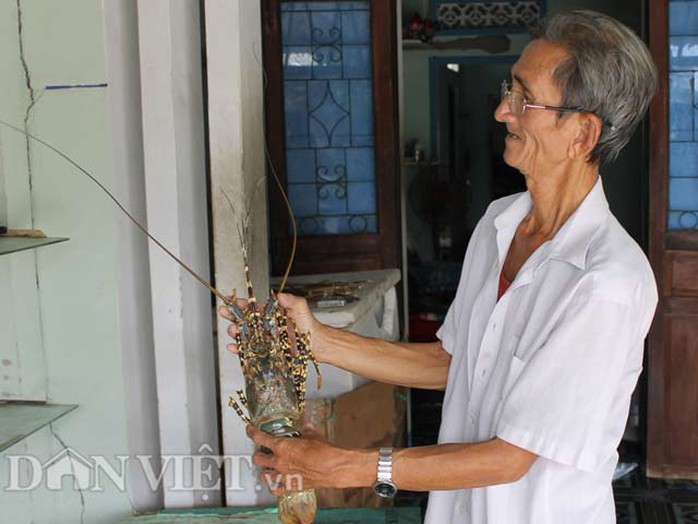 Ông Nguyễn Văn Tám có thâm niên mua vỏ tôm hùm gần 20 năm.