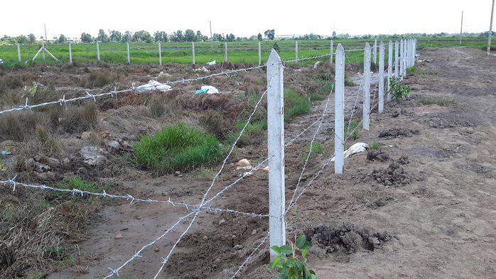 Đất tại Củ Chi đang được giới đầu tư săn ráo riết để đón đầu quy hoạch siêu dự án trên giấy của Tuần Châu