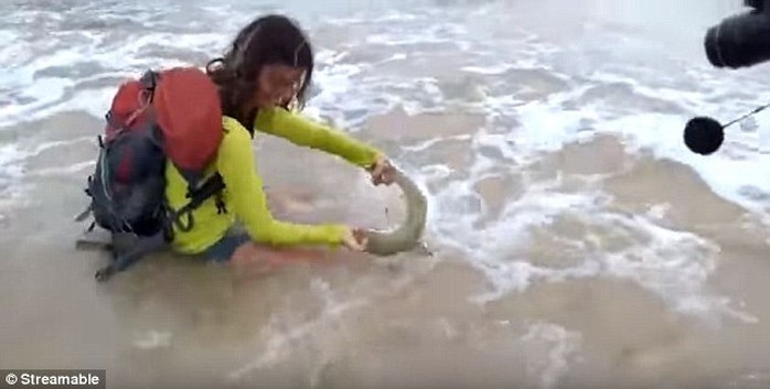 
Nữ du khách 35 tuổi bị cá mập cắn khi lôi nó lên bờ chụp ảnh. Ảnh: Streamable

