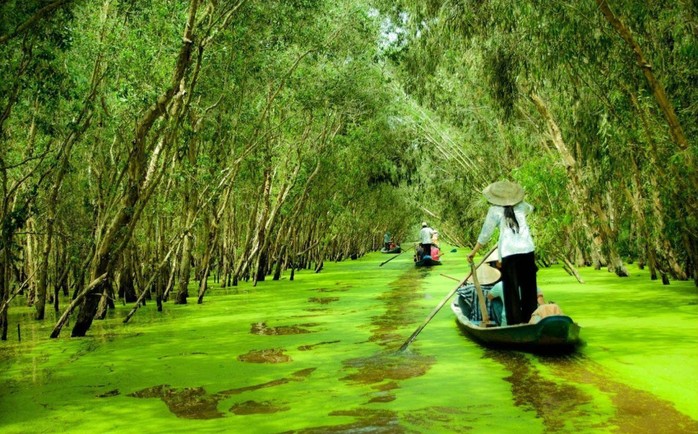 
Trà Sư - An Giang
