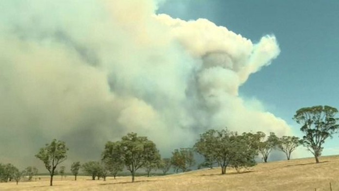 Hình ảnh khói dày đặc trong vụ cháy rừng ở bang New South Wales - Úc. Ảnh: Reuters