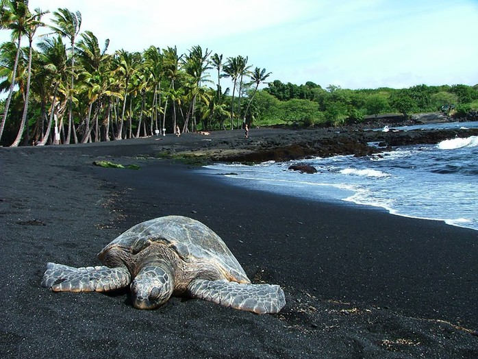 Ảnh: hawaiitopten.com
