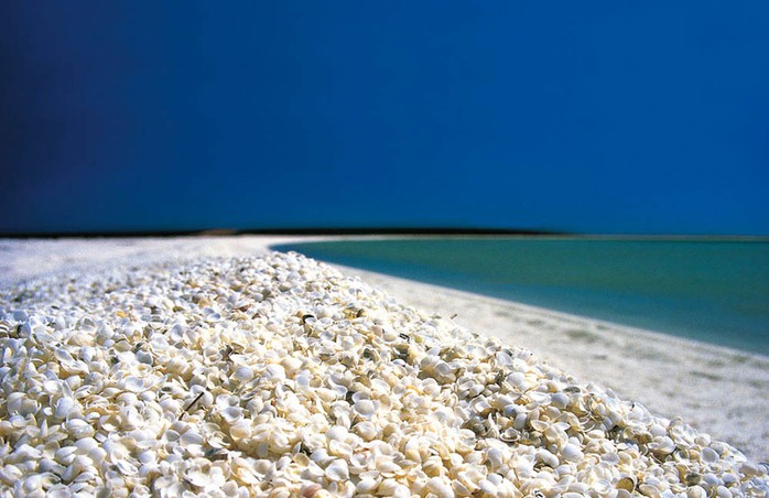 Ảnh: australiascoralcoast.com