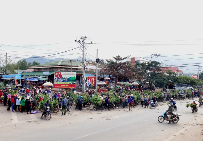 Một góc chợ chuối Tân Long