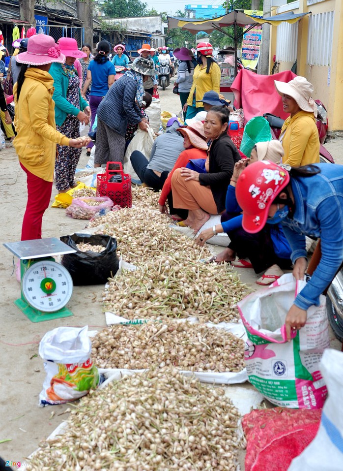 Nông dân tập kết từng ụ nông sản để thương lái dễ chọn lựa, thu mua.