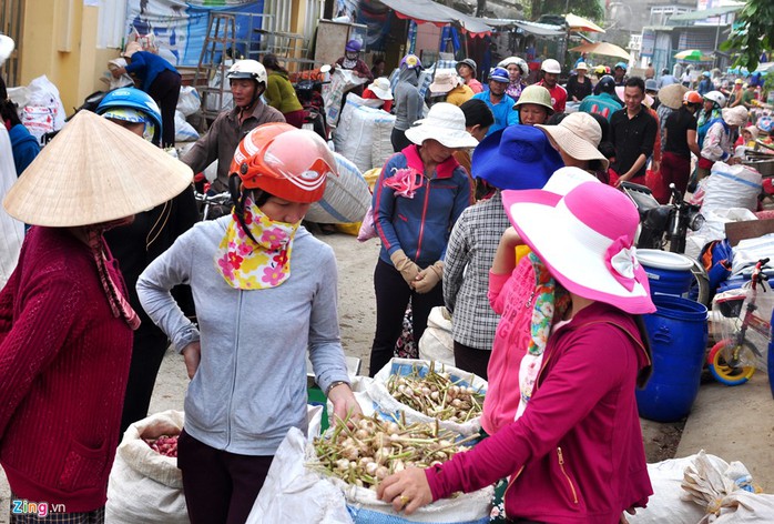 Người dân Lý Sơn cho biết vào mùa cao điểm du lịch giữa năm, giá tỏi thường quanh mức 120.000 đồng/kg, tỏi cô đơn đến 1,2 triệu đồng mỗi kg.