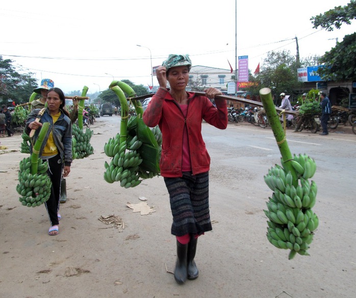 Nhiều chị phụ nữ người đồng bào Vân Kiều, Pa Cô gánh chuối đến bày bán