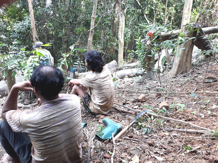 Nhóm “lâm tặc” đang nghỉ ngơi để tiếp tục hạ gỗ 