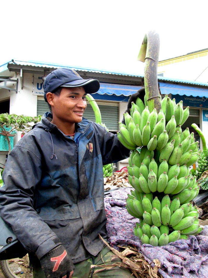 Mỗi buồng chuối to, màu sắc đẹp như thế này có giá bán từ 500-1.000.000 đồng