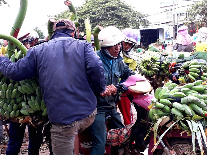 Vẻ mệt nhọc hiện trên nét mặt của một nông dân bán chuối