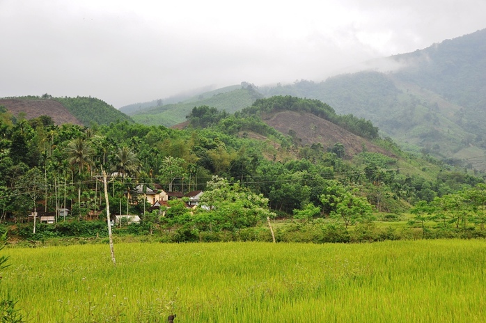 Khung cảnh bình yên ở làng Rêu, xã Ba Điền, huyện Ba Tơ (Quảng Ngãi). Ảnh: Tử Trực 