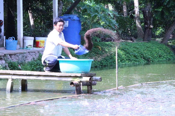 Ông Bon đang chăm sóc ao cá thát lát sắp thu hoạch ẢNH: NGUYÊN ĐẠT