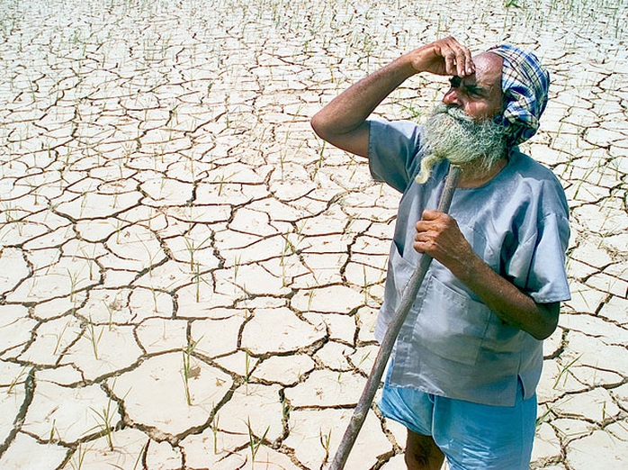 Hiện tượng El Nino có thể tái xuất trong năm nay Ảnh: BUSINESS STANDARD