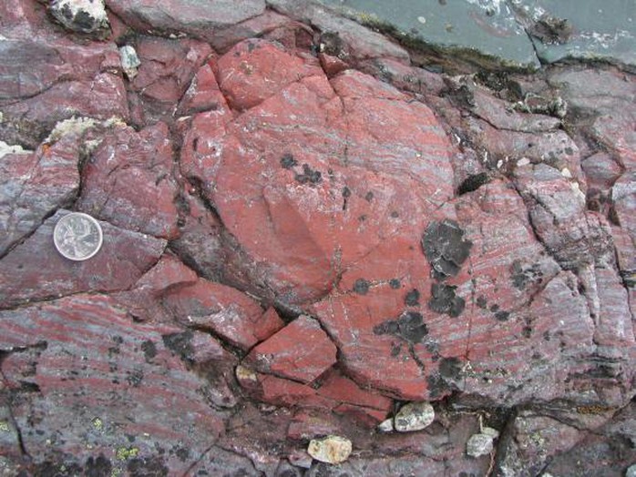 
Thành tạo đá nơi hóa thạch được tìm thấy. Ảnh: DOMINIC PAPINEAU
