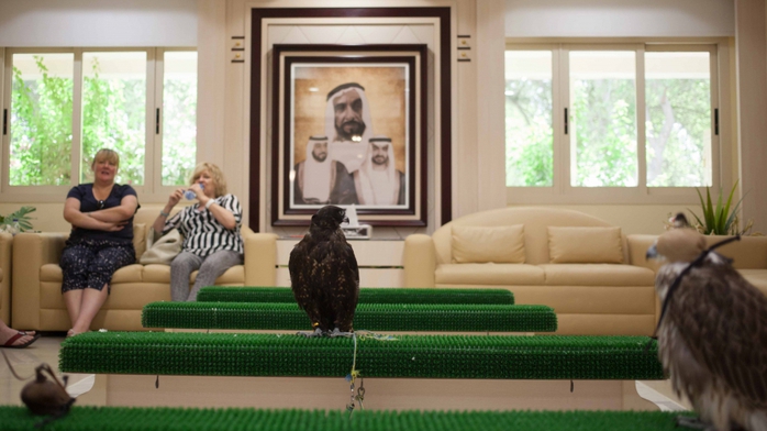 
Phòng chờ của bệnh viện Chim ưng Abu Dhabi. Ảnh: Nwptv
