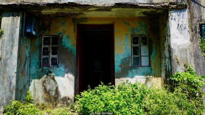 
Những căn nhà cũ nát nằm rải rác trên đảo Yim Tin Tsai. Ảnh: Kate Springer
