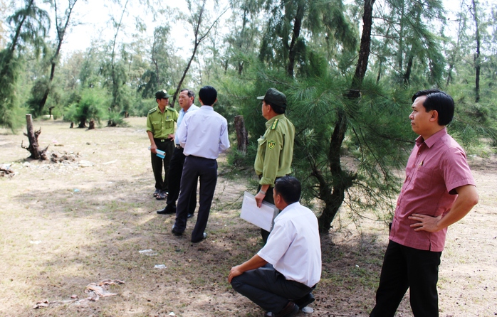 
Ông Toàn (đầu tiên bên phải) dẫn đoàn kiểm tra hiện trường vụ phá rừng
