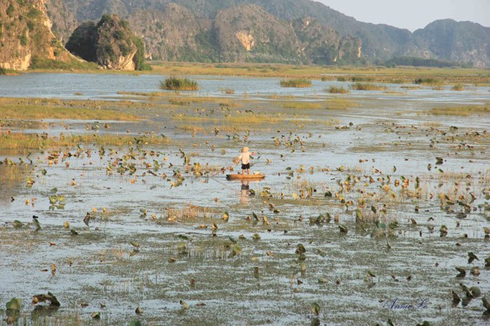 
Vân Long hoang sơ. Ảnh: Cỏ Biếc.
