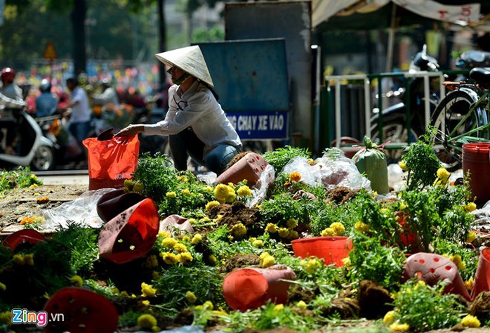 
Vào ngày cuối cùng của năm cũ, nhiều chậu hoa đã bị vứt bỏ. Một số người nhặt những bông hoa còn tươi đem về dùng.
