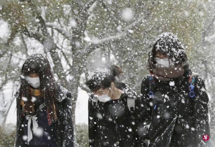 Cơ quan Khí tượng Nhật Bản cảnh báo trong ngày 16-1 bão tuyết xảy ra tại các vùng duyên hải. Ảnh: ZAOBAO