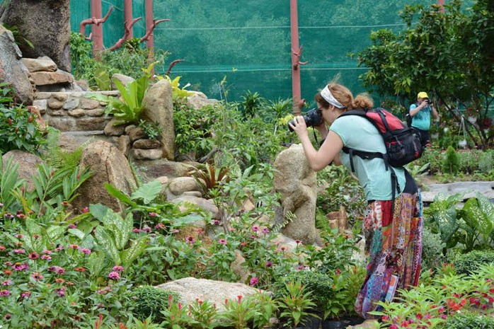 
Vườn bướm đầu tiên được giới thiệu cho du khách ở Khánh Hòa

