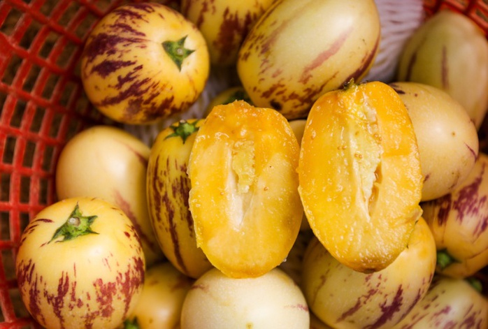 Quả dưa Pepino có vị ngọt dịu, khi chín, trái có màu vàng sọc tím.