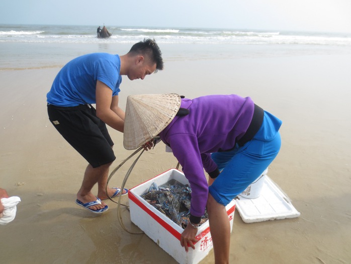 Cá tôm đã hồi sinh vùng biển ở Thừa Thiên- Huế (ảnh Quang Nhật)