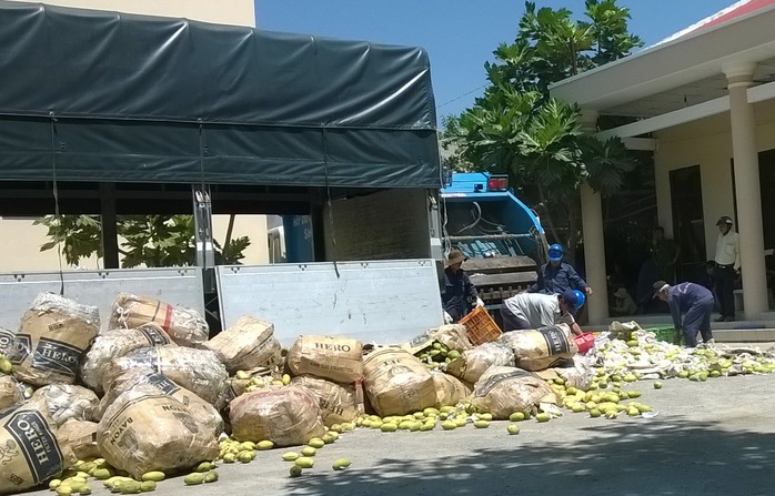 
Các lực lượng chức năng đã tiêu hủy toàn bộ số xoài nhập khẩu trái phép. Ảnh: CTV
