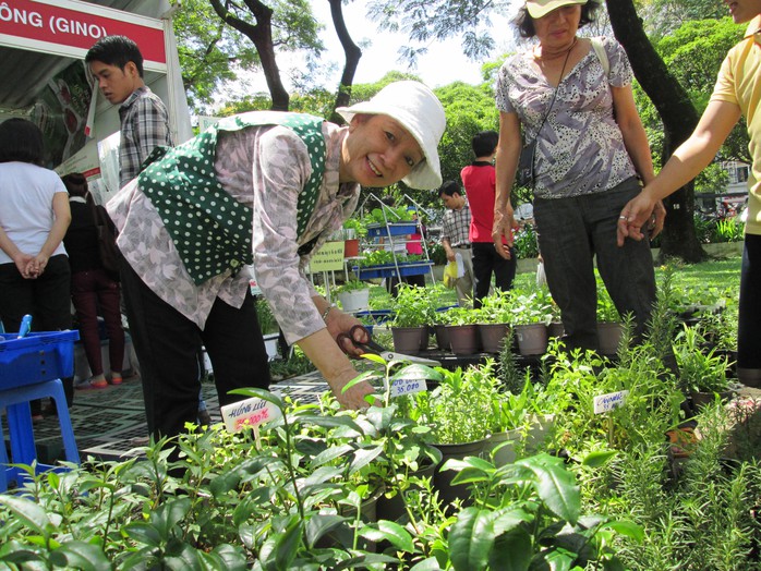 
TS Nguyễn Thị Đào bên những chậu rau mini hữu cơ
