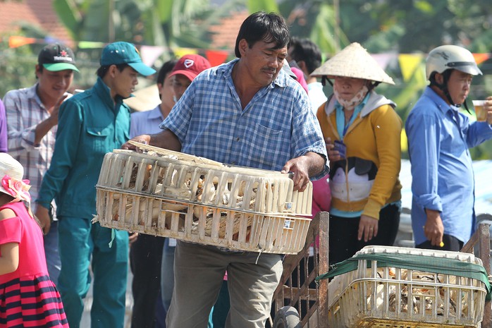 
Theo ban tổ chức lễ hội, có 100 con vịt được thả ra trong trò chơi này.
