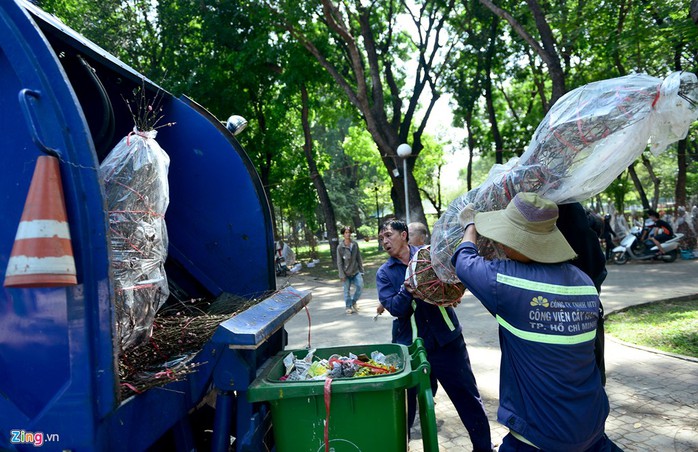 
Những cây đào nở hoa bị vứt bỏ.
