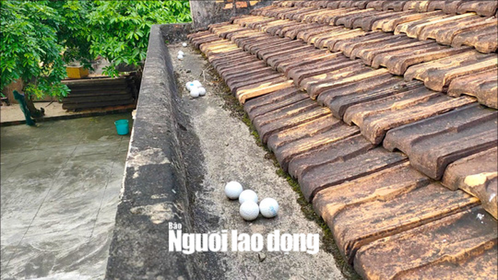 Bóng golf oanh tạc làm bể mái tôn, cửa kính và uy hiếp người dân ở Quảng Bình - Ảnh 3.