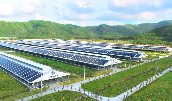 Năng lượng mặt trời được triển khai trên toàn bộ hệ thống trang trại Vinamilk - Ảnh 2.