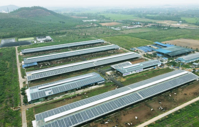Năng lượng mặt trời được triển khai trên toàn bộ hệ thống trang trại Vinamilk - Ảnh 3.