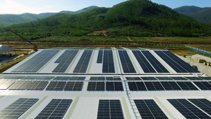 Năng lượng mặt trời được triển khai trên toàn bộ hệ thống trang trại Vinamilk - Ảnh 5.