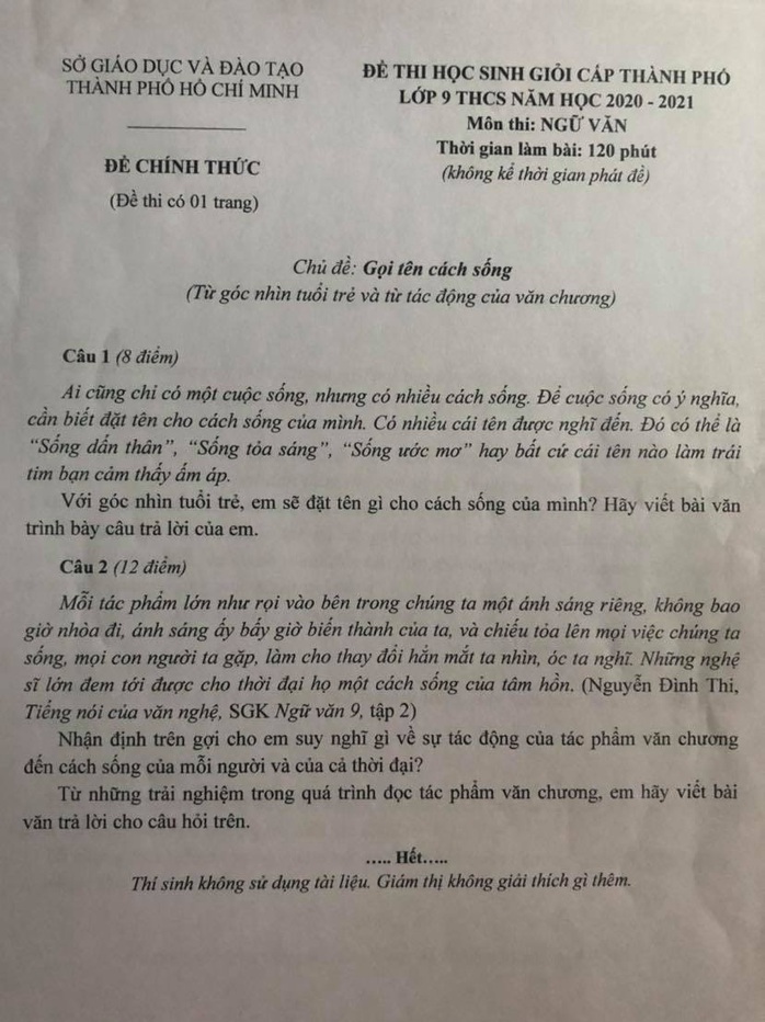 Thú vị đề thi văn học sinh giỏi ở TP HCM bàn về tuổi trẻ chông chênh - Ảnh 1.