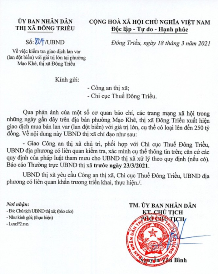 Công an, thuế vào cuộc xác minh vụ bán lan đột biến 250 tỉ đồng - Ảnh 2.