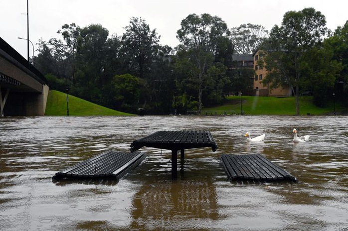 Sydney gặp họa lớn, dân sơ tán khẩn cấp trong đêm - Ảnh 2.