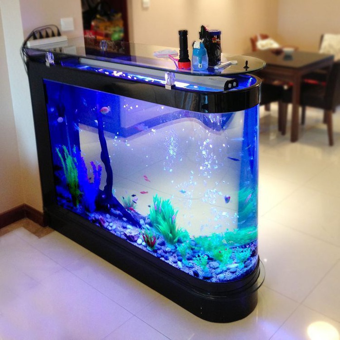 Mang cả đại dương vào nhà - Ảnh 4. Mang cả đại dương vào nhà - Ảnh 4.