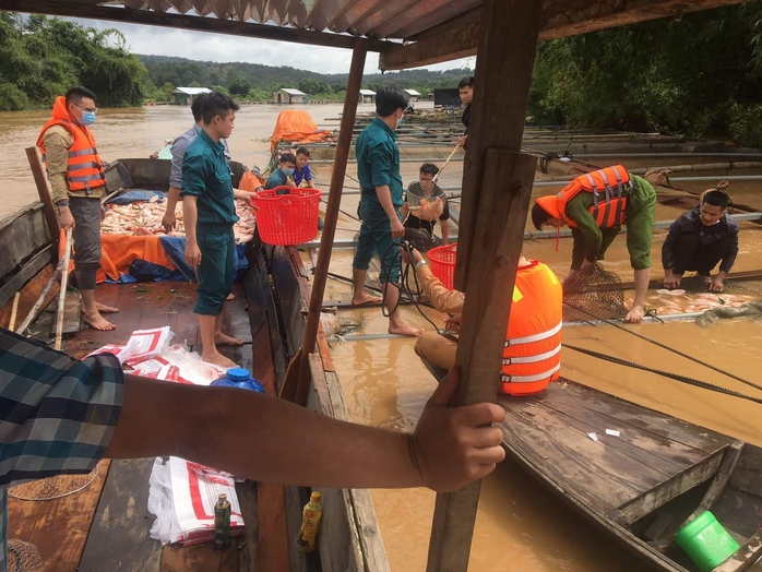 Gần 800 tấn cá bè chết trên sông Đồng Nai sau mưa lớn - Ảnh 3.