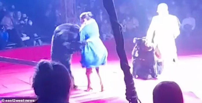 Nghệ sĩ xiếc mang thai bị gấu tấn công trên sân khấu - Ảnh 1.