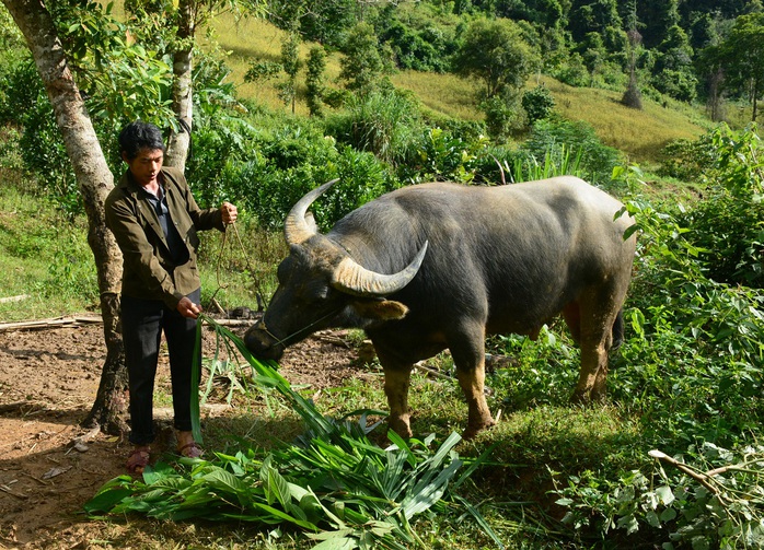 Đến năm 2030 Thanh Hóa sẽ không còn huyện nghèo - Ảnh 2.