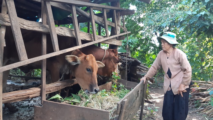 Vươn lên nhờ Quỹ Đảng viên tiết kiệm - Ảnh 1.