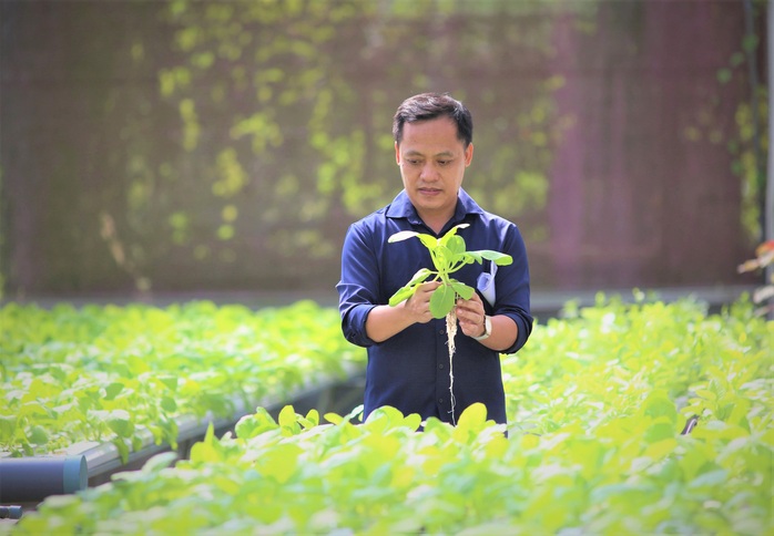 Nông trại rau sạch của chàng kỹ sư IT - Ảnh 1.