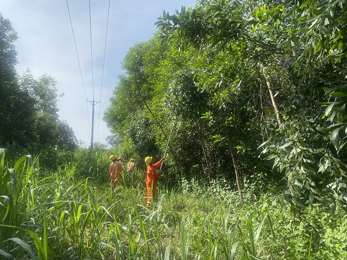 PC Quảng Ngãi: Đảm bảo an toàn điện trong mùa giông sét - Ảnh 1.